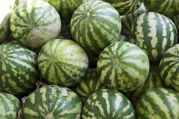 stock image Watermelons