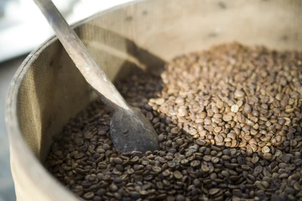 Кава насіння — стокове фото