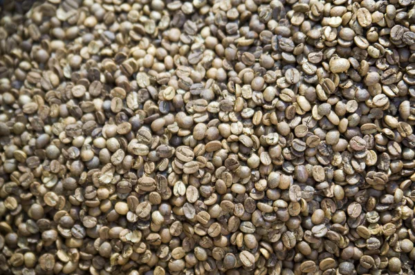 Roasted coffee seeds — Stock Photo, Image
