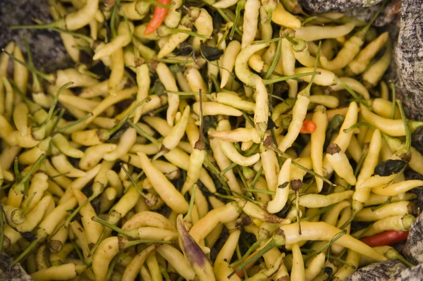 Omogna gul chili — Stockfoto