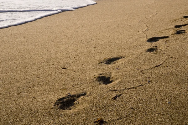 Kum üzerinde ayak izleri — Stok fotoğraf