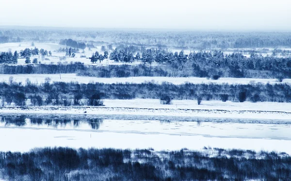 Talvi näkymä — kuvapankkivalokuva