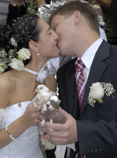 Bacio coppia sposata — Foto Stock