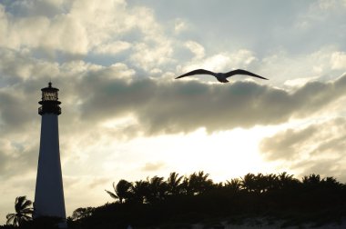deniz feneri