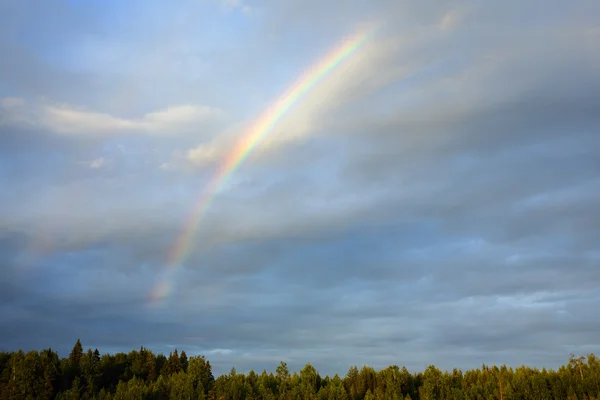 Regenboog — Stockfoto