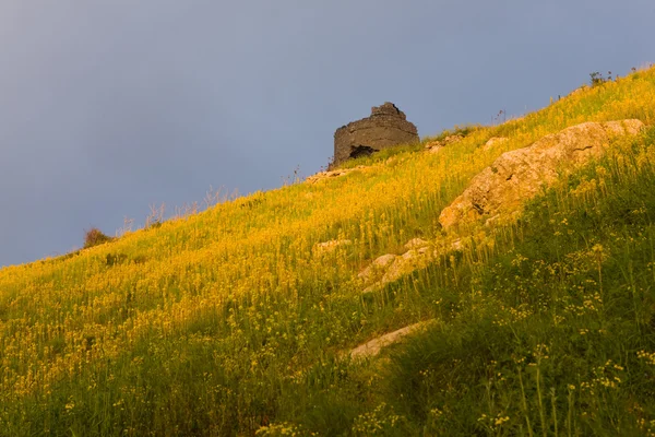 Soleado colina — Foto de Stock