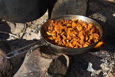 Chanterelles on a fire