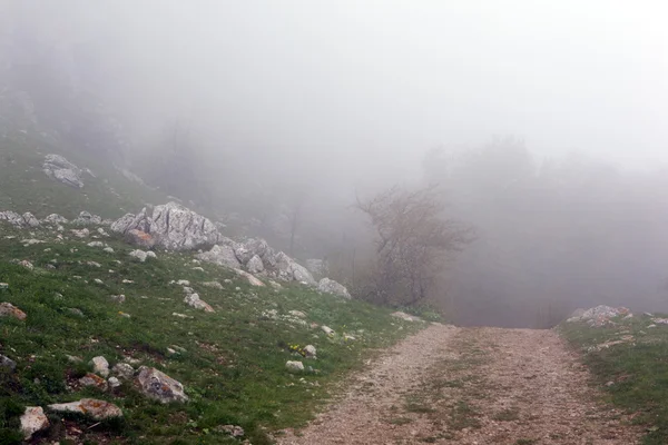 Camino de montaña — Foto de Stock