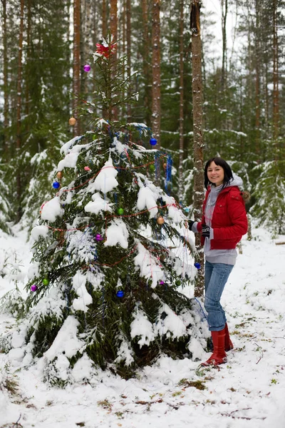 Navidad en el bosque —  Fotos de Stock