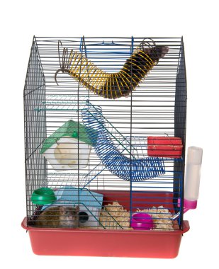 Cage with two rats clipart