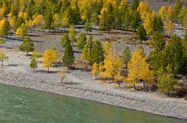 stock image Mountain river