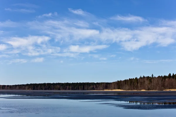 Лесное озеро весной — стоковое фото