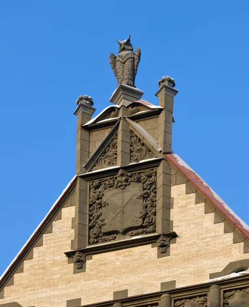 Baykuş bir çatı üzerinde — Stok fotoğraf