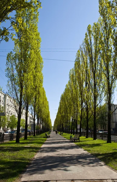 stock image Spring street