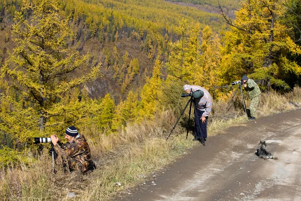 fotoğrafçılar