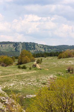 Cumulus bulutları