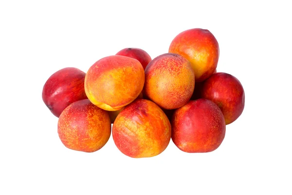 stock image Nectarines