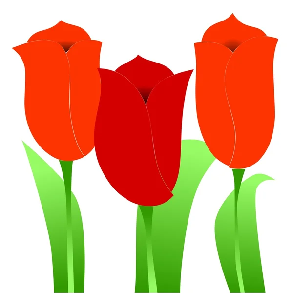 Tulipes — Image vectorielle