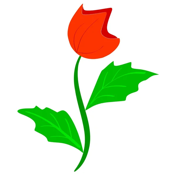 Décor floral — Image vectorielle