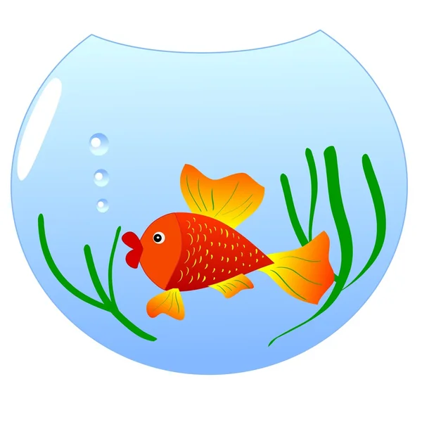 金の魚 — ストックベクタ
