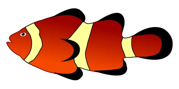 Palyaço balığı — Stok Vektör