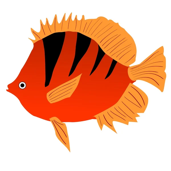 水族館の魚 — ストックベクタ
