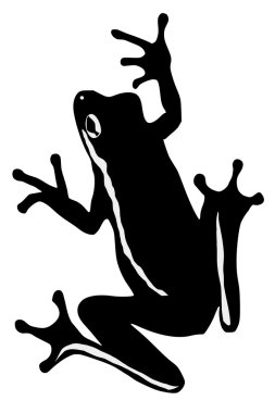 Tree frog clipart