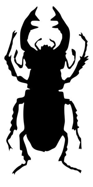 Stag beetle — Stock Vector
