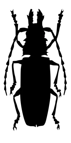 Escarabajo gigante — Archivo Imágenes Vectoriales