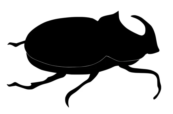 Escarabajo rinoceronte — Archivo Imágenes Vectoriales