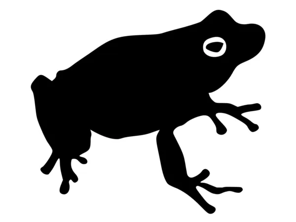 Drzewa żaba — Wektor stockowy