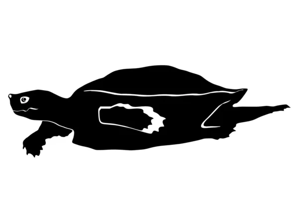 红海龟 — 图库矢量图片