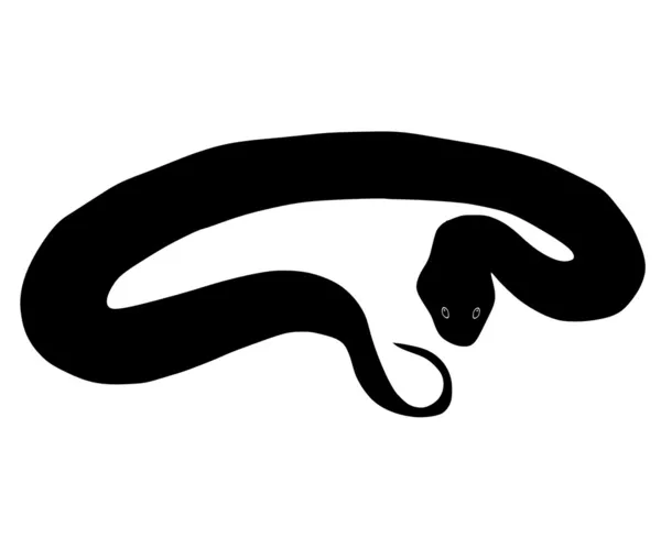 Kígyó — Stock Vector