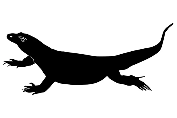 Komodo dragon — Stockový vektor