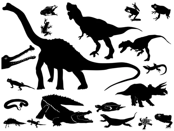 爬虫類のコレクション — ストックベクタ