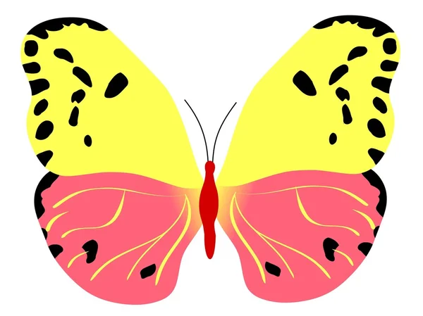蝴蝶！ — 图库矢量图片
