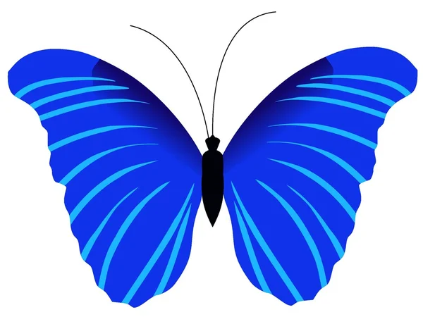 Fluture — Vector de stoc