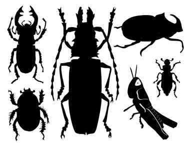 Collections of beetles clipart