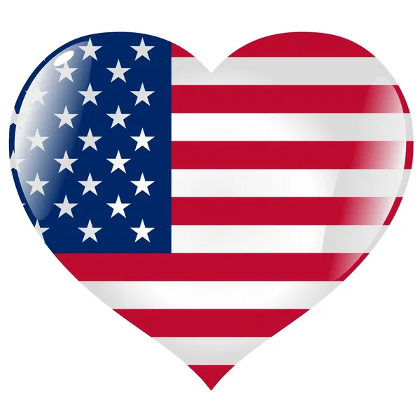 United States in heart — Stock Vector