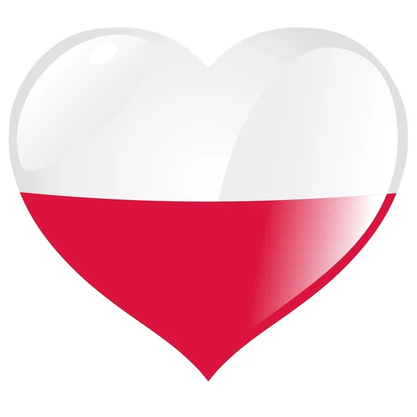 Polen in hart — Stockvector