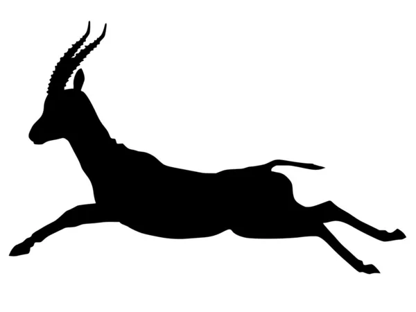 Silhouette of gazelle — Stock Vector