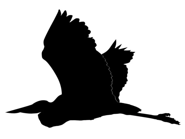 Silhouette of heron — Stock Vector