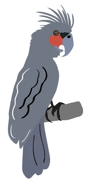 棕榈鹦鹉 — 图库矢量图片
