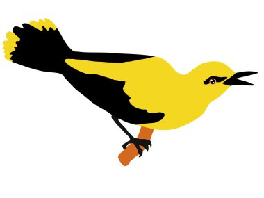 Oriole clipart