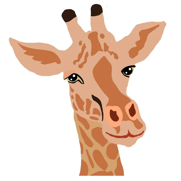 Giraffa — Vettoriale Stock