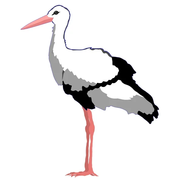 Stork — Stock Vector