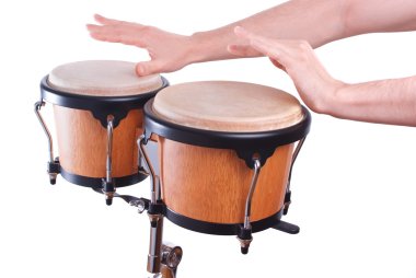 Bongo