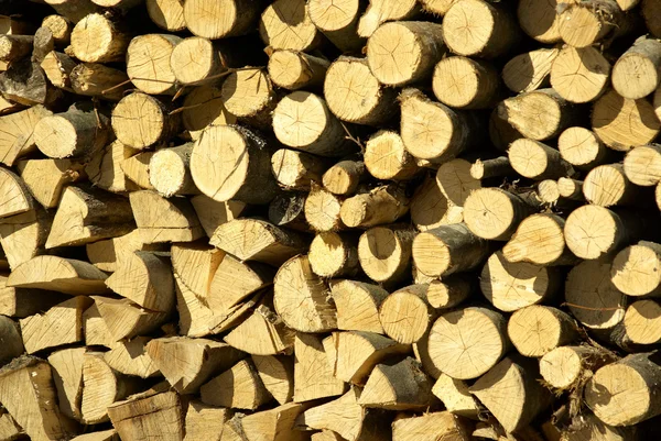 stock image Fire wood