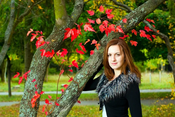 stock image Portrait of a beautiful woman looking at the cam