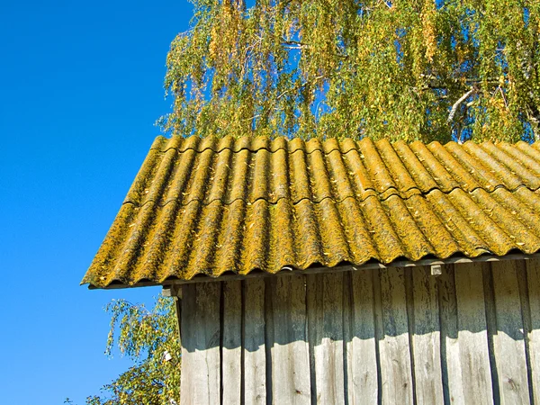 Roof of a shed — Stock Photo, Image